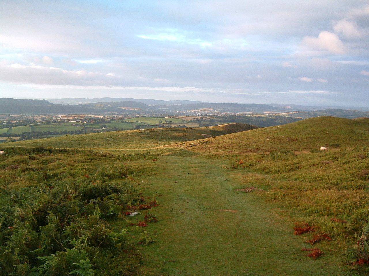 Longmynd 4